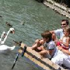 Családi üdülés a Hotel Annabellában Balatonfüreden Családi üdülés a Hotel Annabellában Balatonfüreden